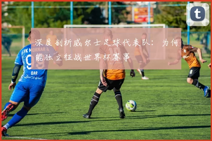 深度剖析威尔士足球代表队:为何能独立征战世界杯赛事