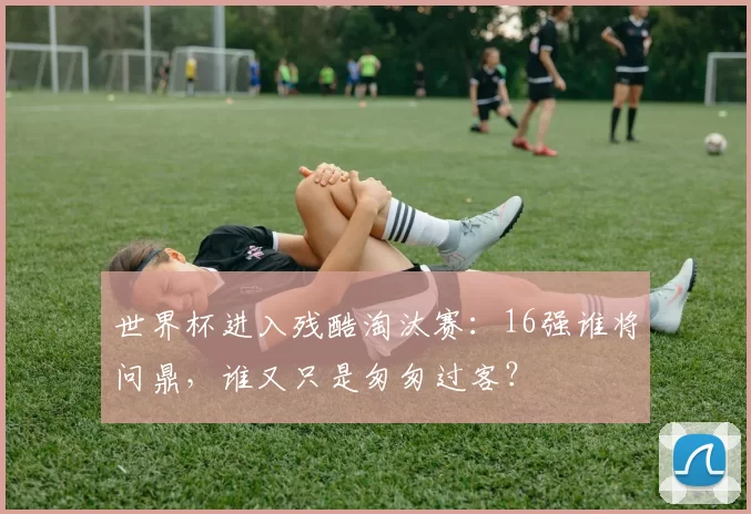 世界杯进入残酷淘汰赛：16强谁将问鼎，谁又只是匆匆过客？