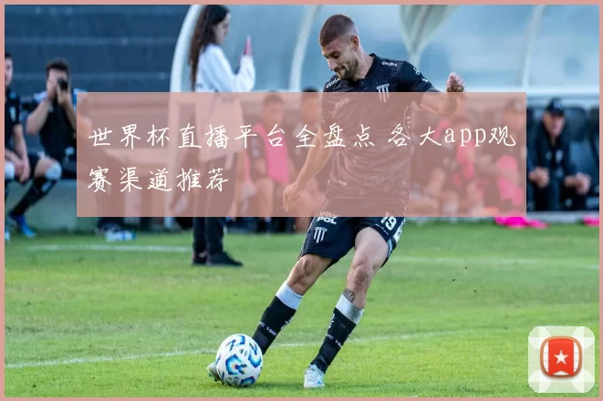 世界杯直播平台全盘点 各大app观赛渠道推荐