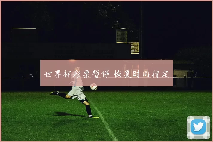 世界杯彩票暂停 恢复时间待定