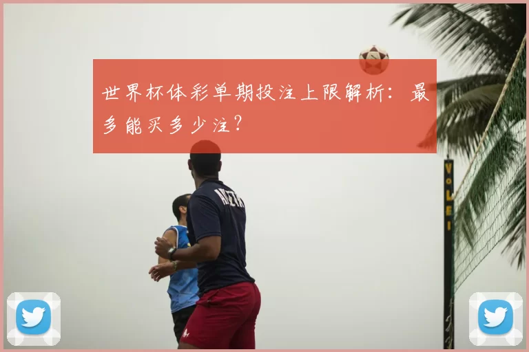 世界杯体彩单期投注上限解析:最多能买多少注?