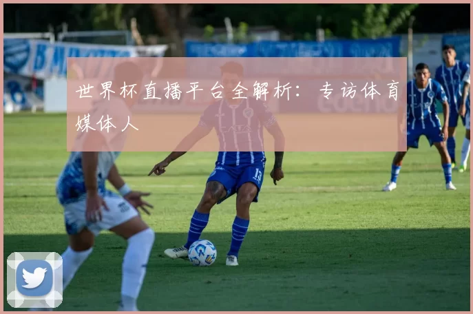 世界杯直播平台全解析：专访体育媒体人