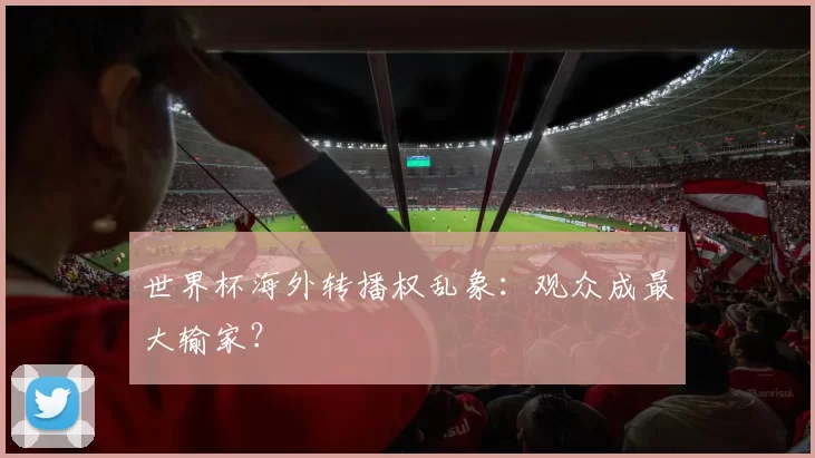 世界杯海外转播权乱象：观众成最大输家？