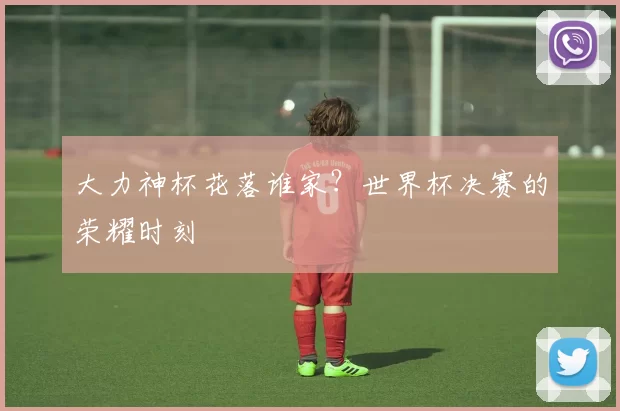 大力神杯花落谁家？世界杯决赛的荣耀时刻