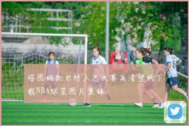 塔图姆凯尔特人总决赛高清壁纸下载NBA球星图片集锦