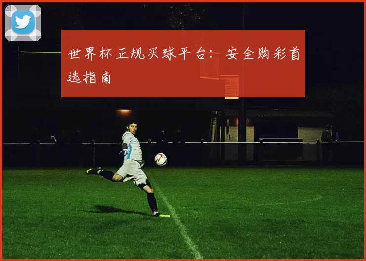 世界杯正规买球平台：安全购彩首选指南
