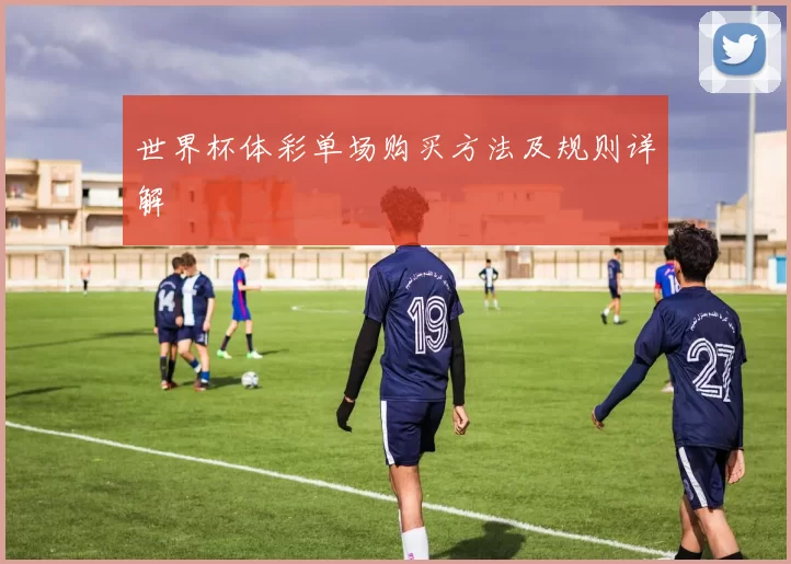 世界杯体彩单场购买方法及规则详解