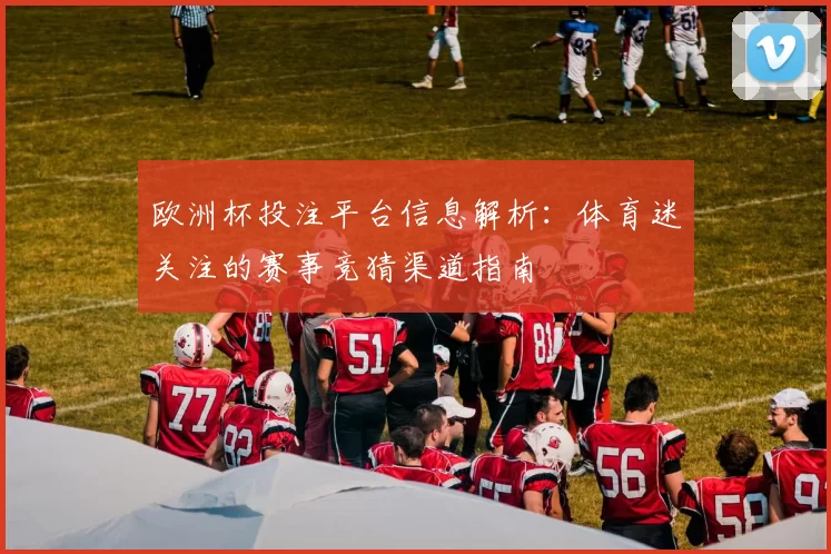 欧洲杯投注平台信息解析：体育迷关注的赛事竞猜渠道指南