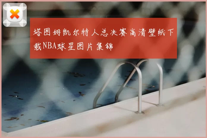 塔图姆凯尔特人总决赛高清壁纸下载NBA球星图片集锦