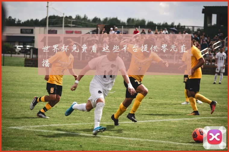 世界杯免费看 这些平台提供零元直播
