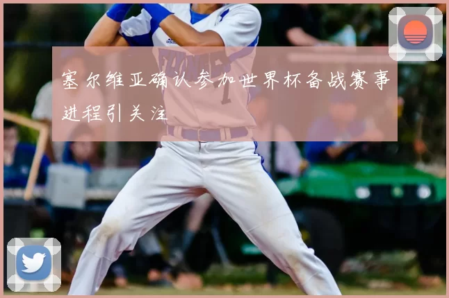 塞尔维亚确认参加世界杯备战赛事进程引关注