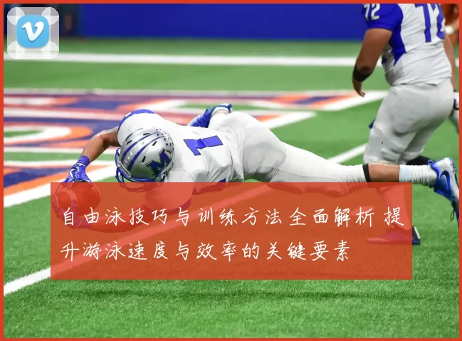 自由泳技巧与训练方法全面解析 提升游泳速度与效率的关键要素