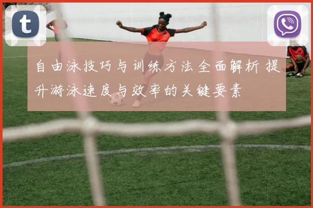 自由泳技巧与训练方法全面解析 提升游泳速度与效率的关键要素
