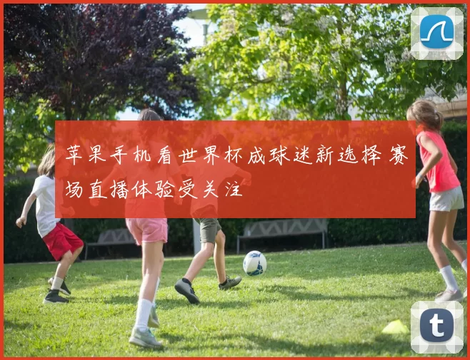 苹果手机看世界杯成球迷新选择 赛场直播体验受关注